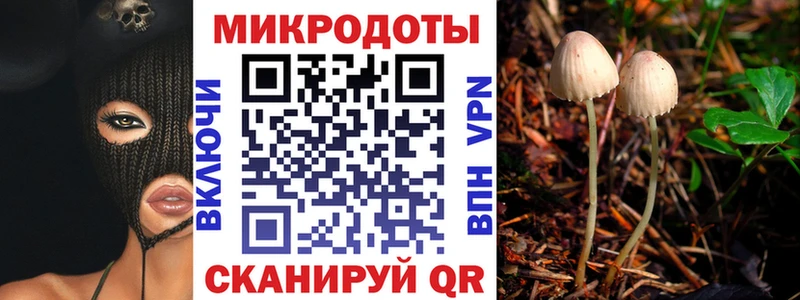Галлюциногенные грибы MAGIC MUSHROOMS Петушки
